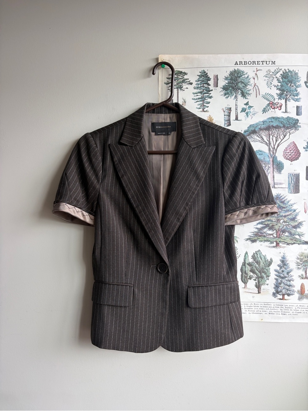 BCBGMaxAzria Brown Pinstripe Short-Sleeve Blazer Small